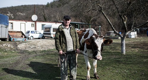 Казак Алексей Александров со своей коровой. Фото: Алина Десятниченко /специально для «Новой»