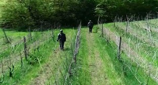 Миротворцы рапортовали о разминировании сельхозугодий в Нагорном Карабахе