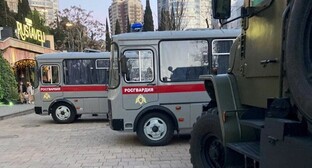 Правозащитники сообщили о многочисленных жалобах на действия силовиков в Сочи