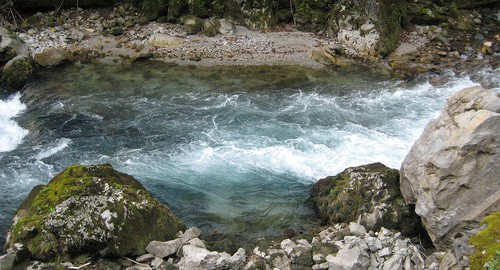 Река Бзыбь в Абхазии. Фото Дар Ветер  https://ru.wikipedia.org/wiki/Бзыбь#/media/Файл:Bzyp_1.JPG