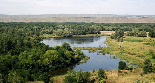 Река Кубань. Фото: Alexey Komarov https://ru.wikipedia.org