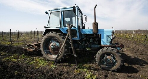 Трактор. Фото: Владимир Аносов / Югополис