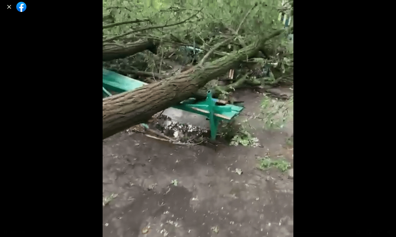Дерево во дворе дома во Фролово после урагана 19 июля 2021 года. Стоп-кадр видео https://www.facebook.com/100001517302950/videos/4275378285856039
