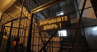 Колония. Фото Елены Синеок, Юга ру Колония. Фото Елены Синеок, Юга ру