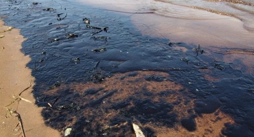 Разлив нефти. Фото: Елена Синеок, "Юга.ру"