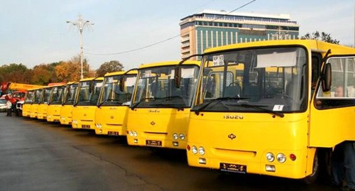 Автобусы в Нальчике. Фото: Елена Синеок, www.yuga.ru