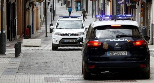 Автомобили полиции в Грузии. Фото Jon Nasca REUTERS