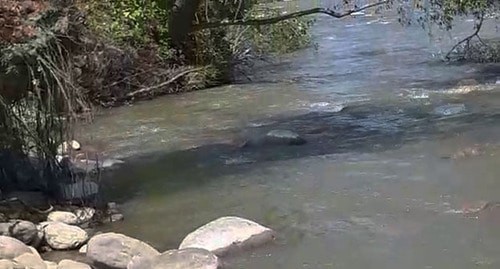 Река Фортанга. Скриншот видео https://www.youtube.com/watch?v=VnUK0MnjNkA