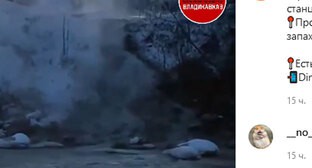 Владикавказцы призвали мэрию отреагировать на видео о загрязнении Терека