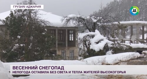 Снегопад в Грузии 19 марта 2022 года. Стоп-кадр из видео https://www.youtube.com/watch?v=5deZErLZShk