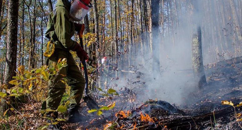 Тушение лесного пожара. Скриншот instagram.com/dobpogkub