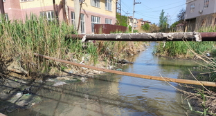 Жители микрорайона в Махачкале пожаловались на загрязнение реки
