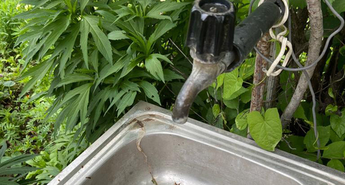 Водопроводный кран на садовом участке. Фото Нины Тумановой для "Кавказского узла"