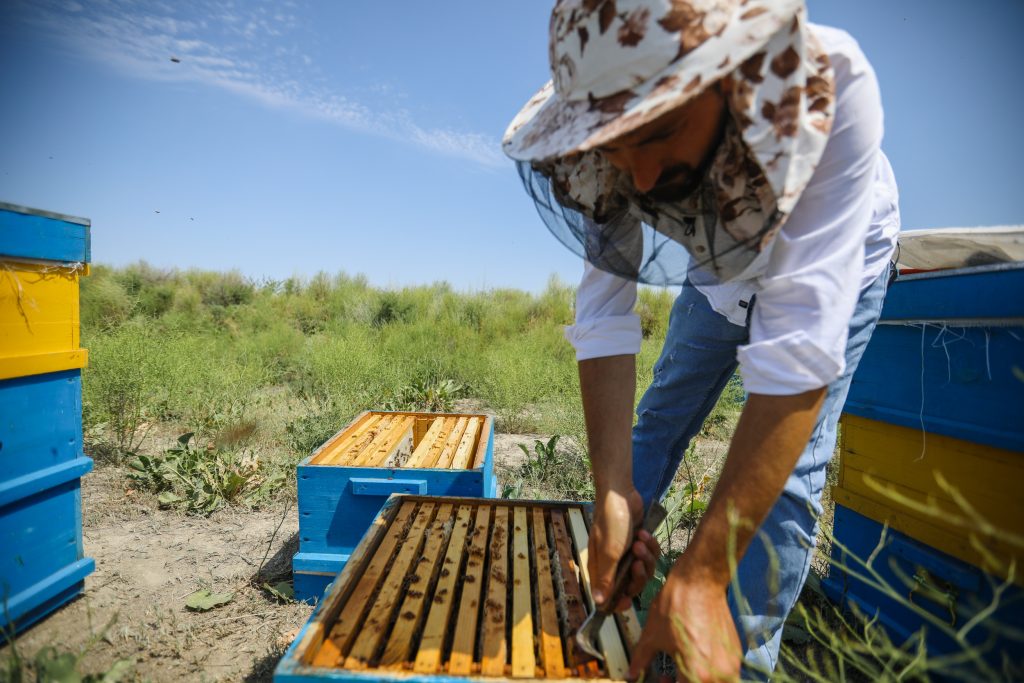 Планы на будущее Эльвина связаны не с журналистикой, а с пчеловодством. Фото: Али Казымов