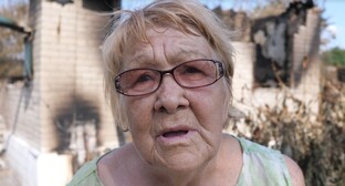 Жители Ростовской области рассказали об убытках от лесного пожара