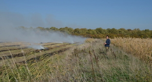 Сжигание рисовой соломы, фото: пресс-служба "Экологической вахты по Северному Кавказу"