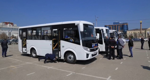 Автобусы в Грозном. Фото: "Грозный-Информ" https://www.grozny-inform.ru