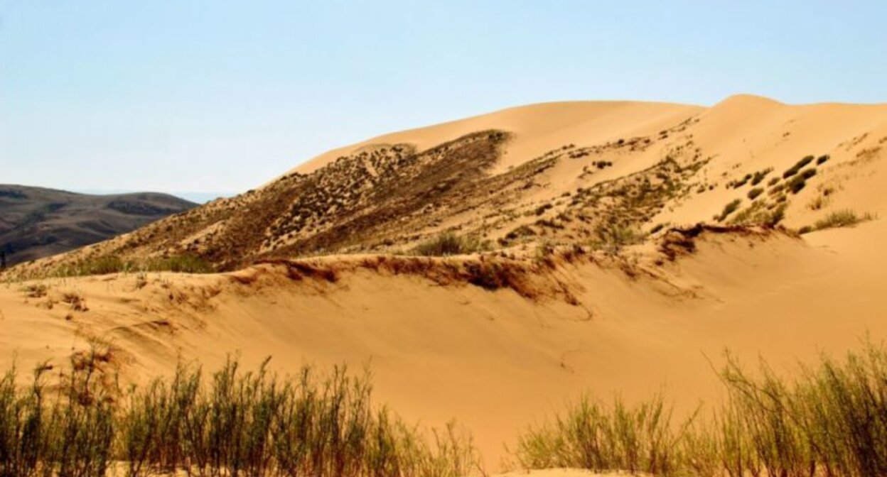 Бархан Сарыкум. Фото: https://nia.eco/2023/10/25/71865