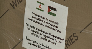 Более 79 миллионов рублей собрали в Ингушетии для жителей Палестины