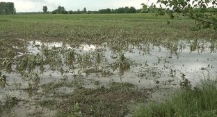 Сельчане в Азербайджане пожаловались на ущерб от подтопления сельхозугодий