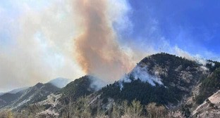 Ландшафтный пожар в Левашинском районе Дагестана. 7 апреля 2025 г. Фото: администрация Акушинского района Дагестана