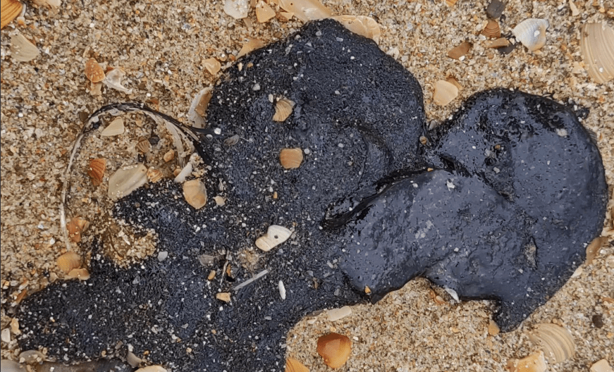 Новые пятна мазута на Бугазской косе. Скриншот фото из Telegram-канала "Мои слезы из мазута" от 12.04.25, https://t.me/mazuttears/1287