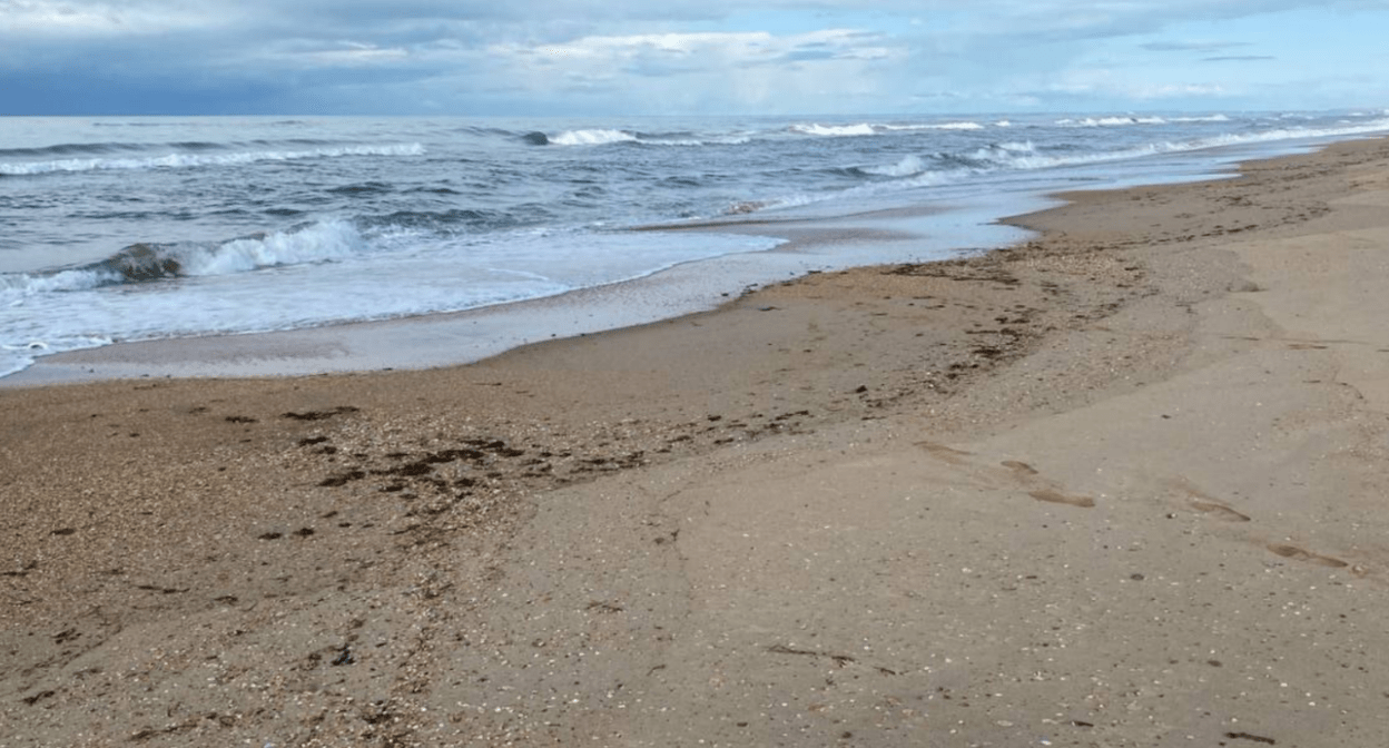 Берег моря между Витязево и Благовещенской. Скриншот фото из Telegram-канала оперштаба Краснодарского края от 13.04.25, https://t.me/opershtab23/13222