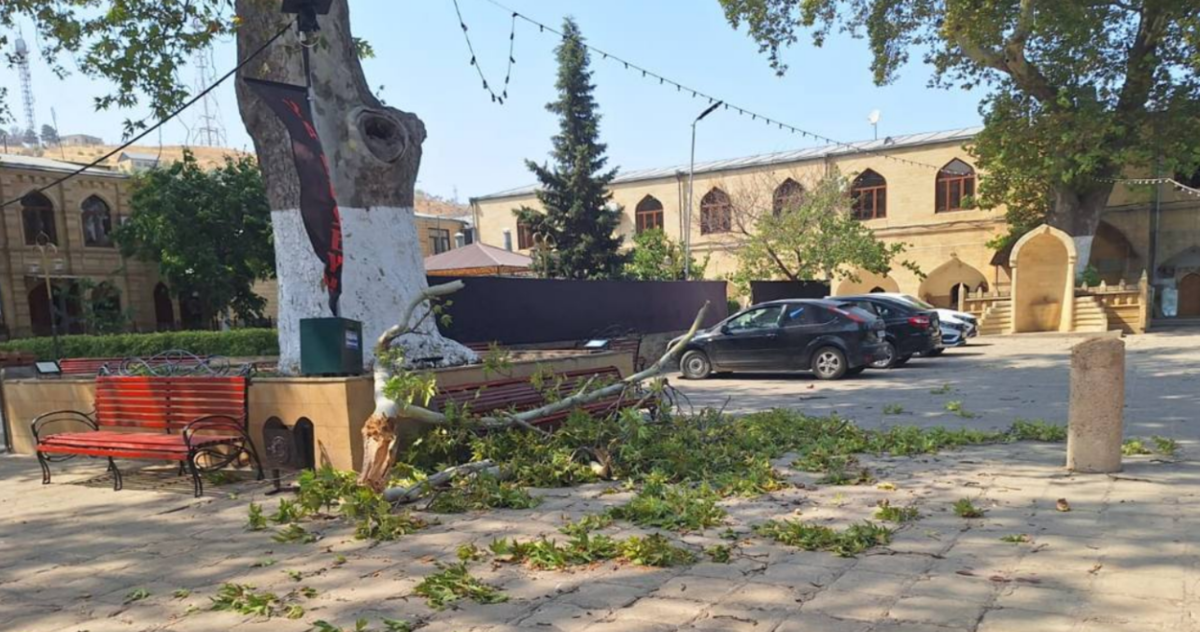 Упавшая ветка во дворе мечети в Дербенте. Скриншот фото из Telegram-канала РГВК "Дагестан" от 03.08.24, https://t.me/RGVKDAGESTAN/39676.