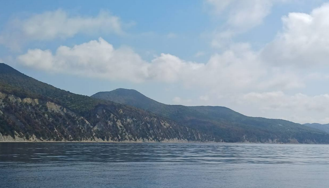 Вид на Пщадское лесничество после тушения пожара. Скриншот фото из Telegram-канала администрации Геленджика от 31.08.25, https://t.me/adm_gelen/22837.