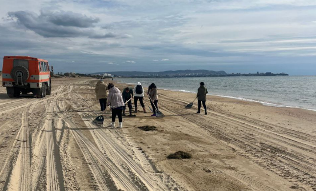 Уборка берега от мазута в Анапе. Скриншот фото оперштаба Краснодарского края от 16.10.25, https://t.me/opershtab23/14279