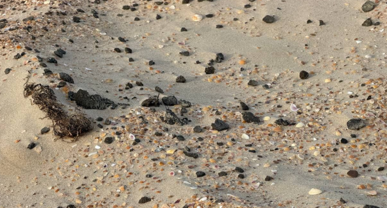 Мазутная крошка на пляже в Джемете. Скриншот фото из Telegram-канала Юрия Озаровского от 23.07.25, https://t.me/MoreOz/110642?single&comment=1415119