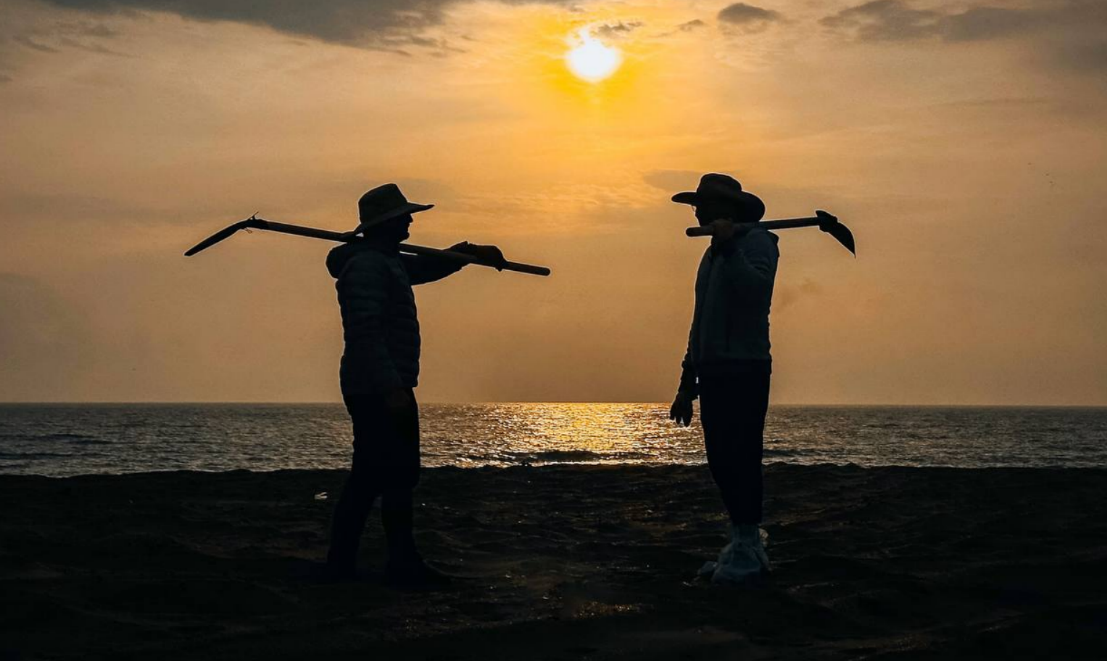 Волонтеры на берегу моря. Скриншот фото штаба "Сети, сито, лопата" от 26.11.25, https://t.me/setisitolopata/2017