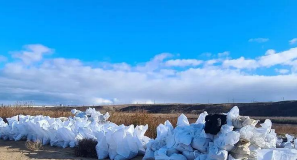 Собранные волонтерами мешки с мазутом на мысе Тузла. Скриншот фото штаба "Дельфины" от 11.12.25, https://t.me/shtab_delfin/1593