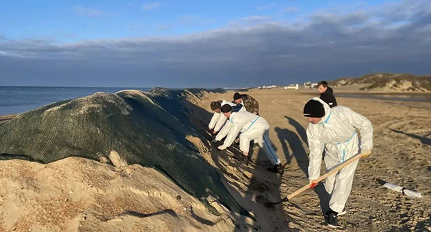 Очистка пляжа от мазута. 25 декабря 2025 г. Фото: https://t.me/opershtab23/14691