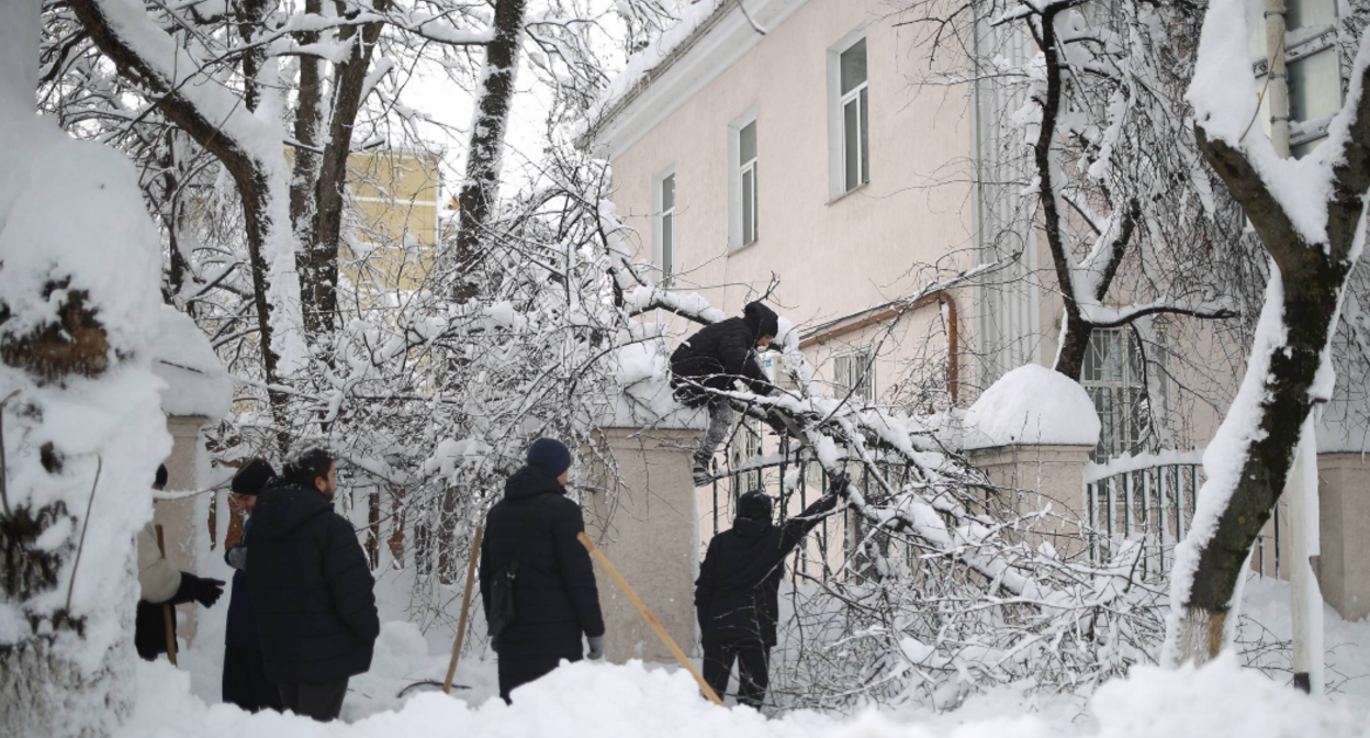 Уборка поваленных веток в Адыгее. Скриншот фото из Telegram-канала Мурата Кумпилова от 02.01.26, https://t.me/muratkumpilov/18082.