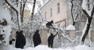 Уборка поваленных веток в Адыгее. Скриншот фото из Telegram-канала Мурата Кумпилова от 02.01.26, https://t.me/muratkumpilov/18082.