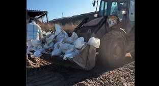 Дорожная техника убирает мешки с мазутом. 14 января 2026 г. Скриншот видео https://t.me/shtab_delfin/1771