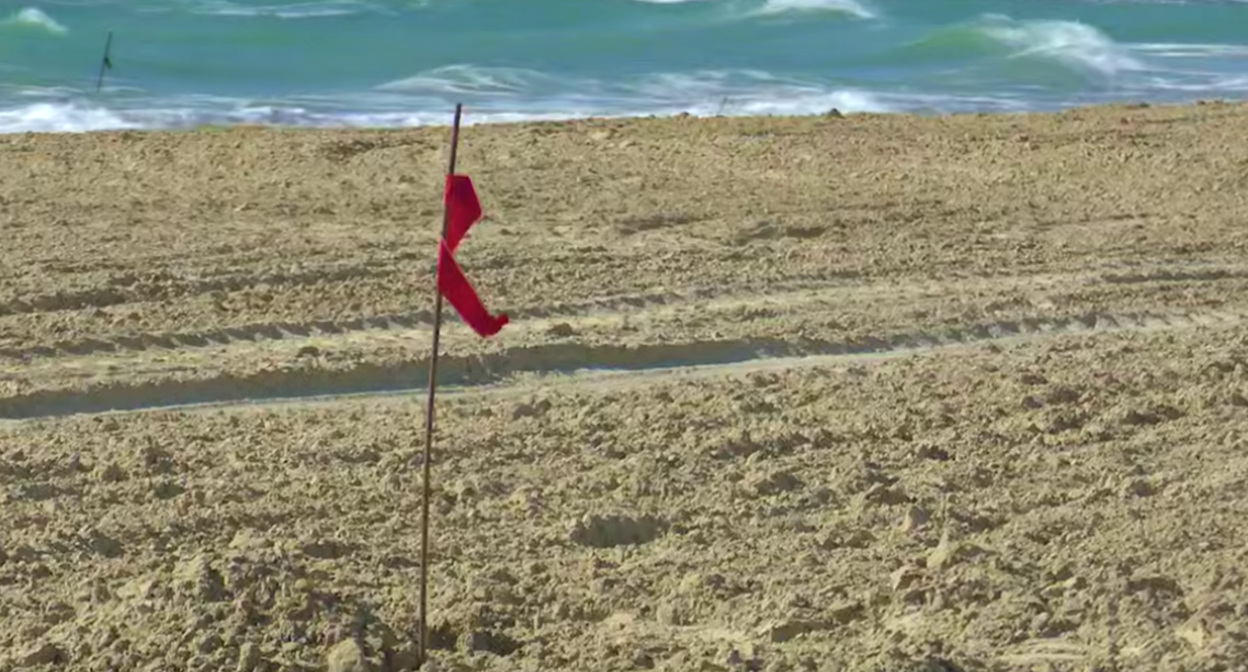 Новый песок на пляже "Мираклеон". Стоп-кадр видео оперштаба Краснодарского края  от 11.03.25, https://t.me/opershtab23/15355