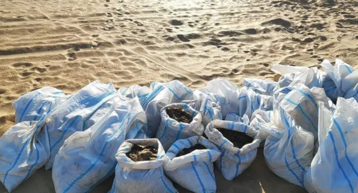 Собранные мешки с мазутом. Скриншот фото "Добровольцы ССЛ" от 14.03.26, https://t.me/setisitolopata/2695 Собранные мешки с мазутом. Скриншот фото "Добровольцы ССЛ" от 14.03.26, https://t.me/setisitolopata/2695