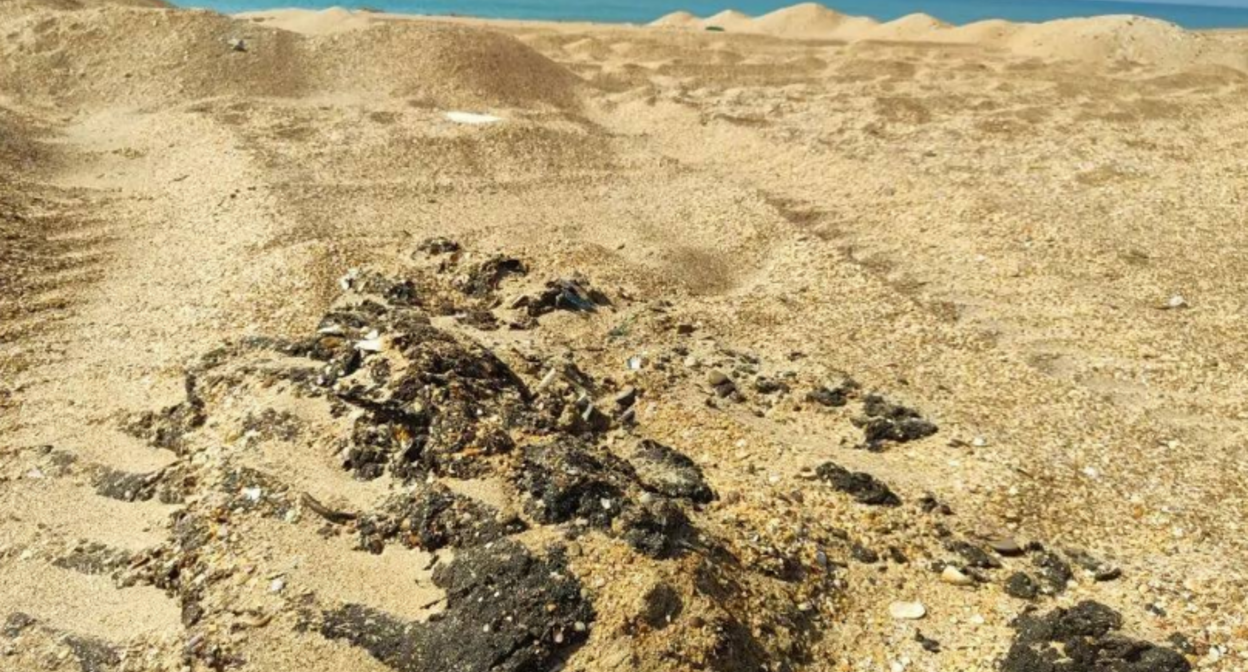 Выбросы мазута на Бугазской косе. Скриншот фото из Телеграм-канала "Добровольцы ССЛ" от 18.03.26, https://t.me/setisitolopata/2726?single