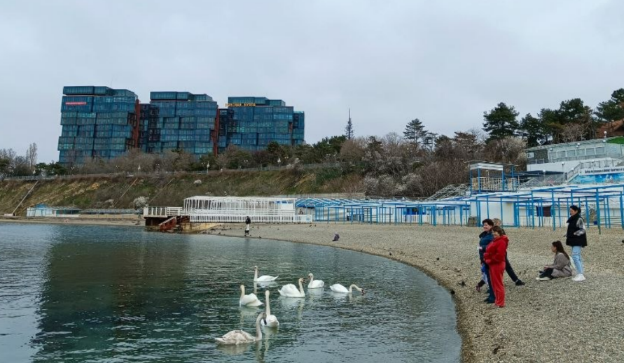 Пляж "Высокий берег". Скриншот фото Юрия Озаровского от 25.03.26, https://t.me/MoreOz/119508?single