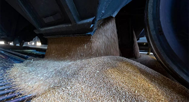 Зерно. Фото: Минтранс России Зерно. Фото: Минтранс России