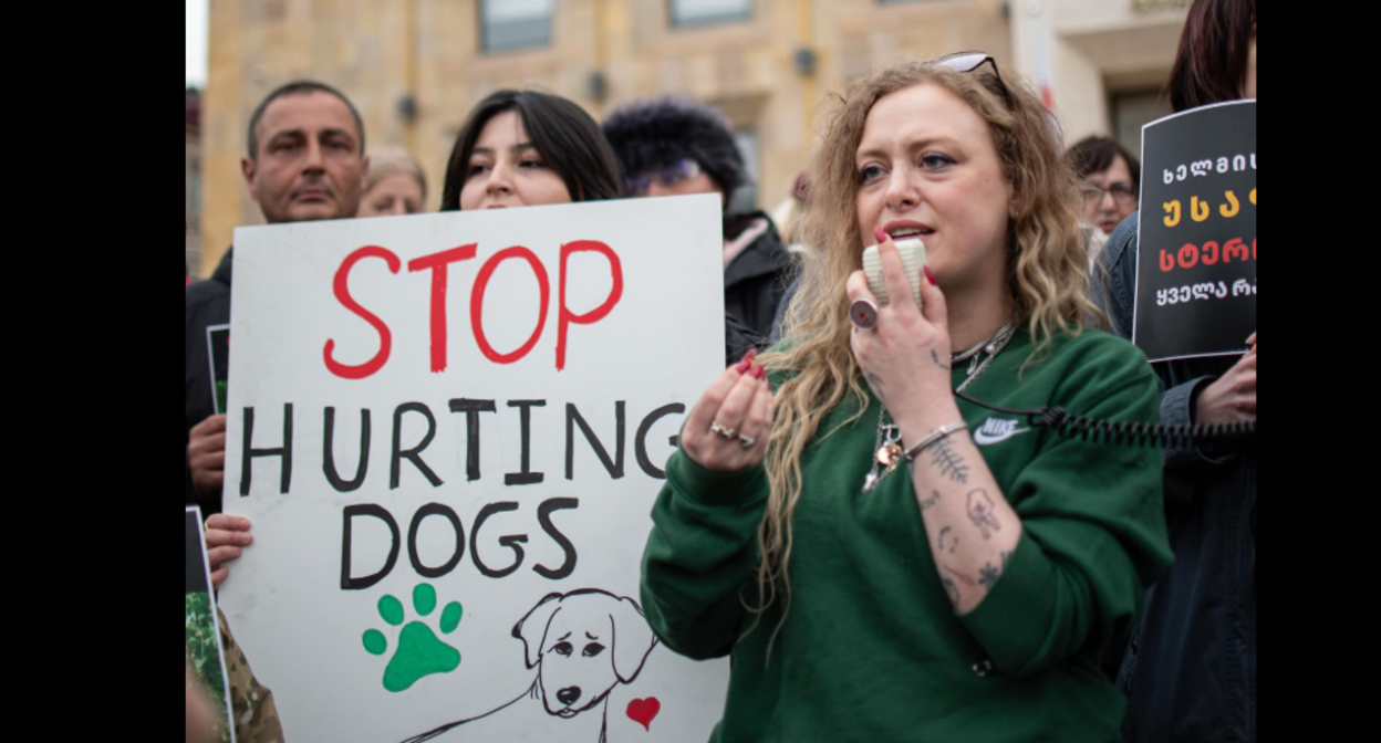 Акция протеста в Тбилиси. Скриншот фото Publika от 04.03.26, https://www.facebook.com/photo/?fbid=1723744409025102&set=pb.100041686795244.-2207520000 (деятельность компании Meta, владеющей соцсетью, запрещена в России)