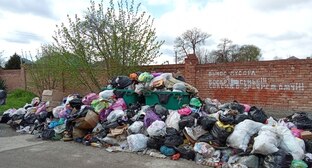 Мусор в Нальчике. Фото корреспондента "Кавказского узла".