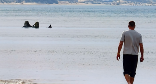 Пляж в Анапе. Скриншот фото из Telegram-канала "Маковозовы" от 18.04.26, https://t.me/makovozovy/58265