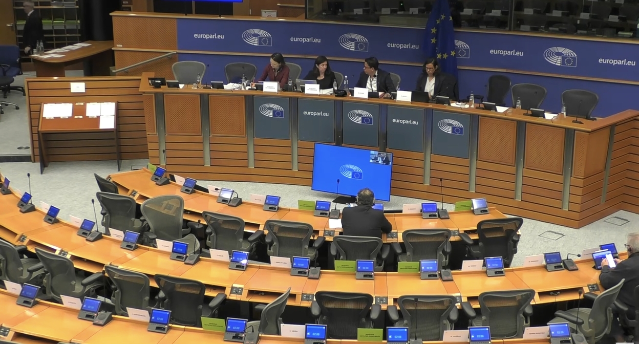 Слушания в подкомитете по правам человека Европейского парламента. Кадр видео  