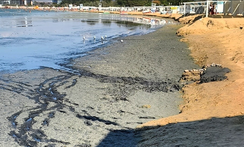 Гниющие водоросли на анапском пляже. Скриншот фото из Telegram-канала «Маковозвы» от 05.09.26 https://t.me/makovozovy/67752. Гниющие водоросли на анапском пляже. Скриншот фото из Telegram-канала «Маковозвы» от 05.09.26 https://t.me/makovozovy/67752.