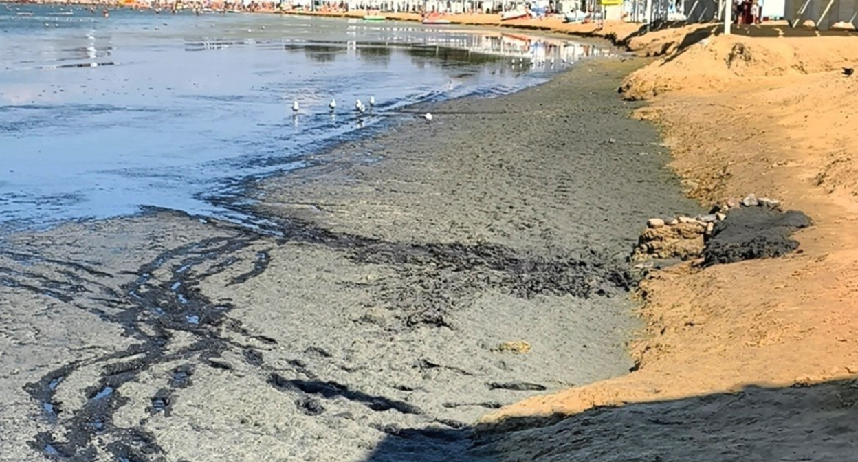 Гниющие водоросли на анапском пляже. Скриншот фото из Telegram-канала «Маковозвы» от 05.09.26 https://t.me/makovozovy/67752. Гниющие водоросли на анапском пляже. Скриншот фото из Telegram-канала «Маковозвы» от 05.09.26 https://t.me/makovozovy/67752.