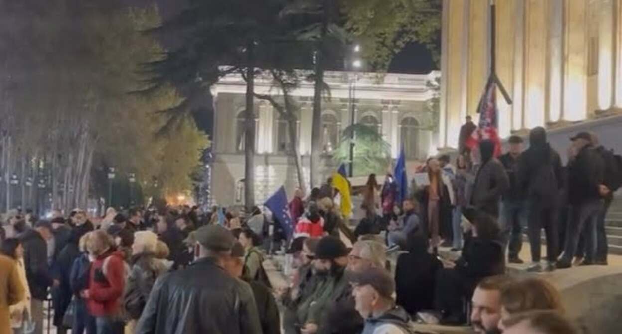 Демонстранты под стенами парламента Грузии. Фото: Giorgi Mumladze Демонстранты под стенами парламента Грузии. Фото: Giorgi Mumladze