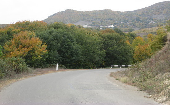 Жёлто-зелёная стена...